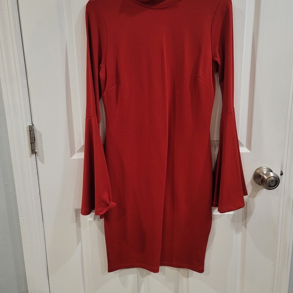 Turtle Neck Dresd - Picture 2 of 2